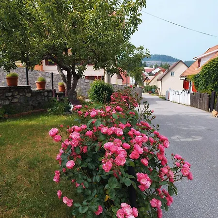 Apartman 